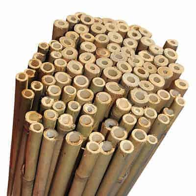 100 X 4FT HEAVY DUTY BAMBOO GARDEN CANES STRONG THICK QUALITY PLANT SUPPORT 