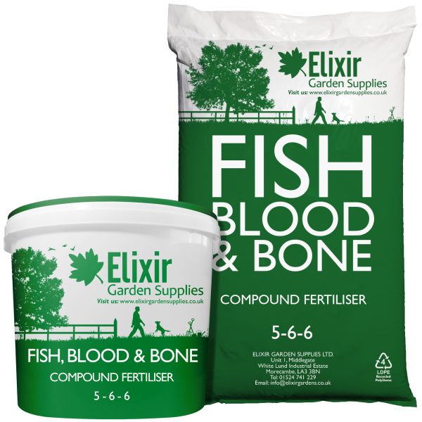 Fish Blood & Bone