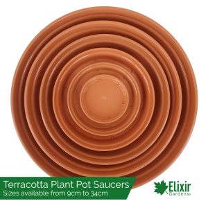Glossy Plastic Terracotta Saucers
