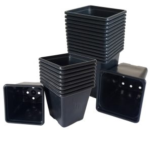 Square Thermoformed Plant Pots