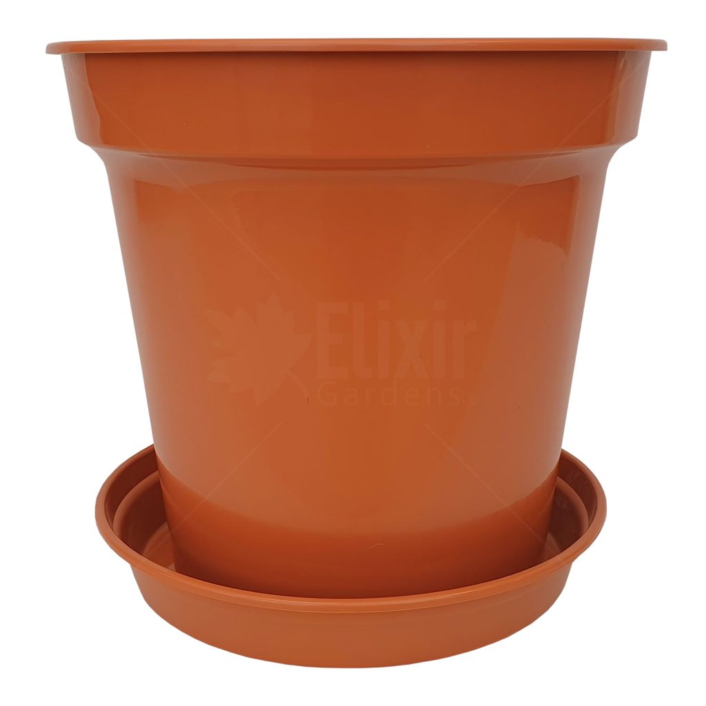 Terracotta Plant Pots & Saucers Elixir Garden Supplies