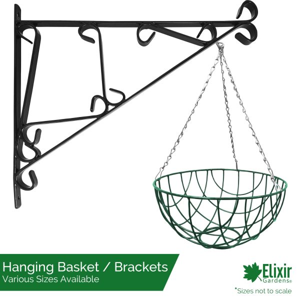 green wire hanging basket with optional wall bracket