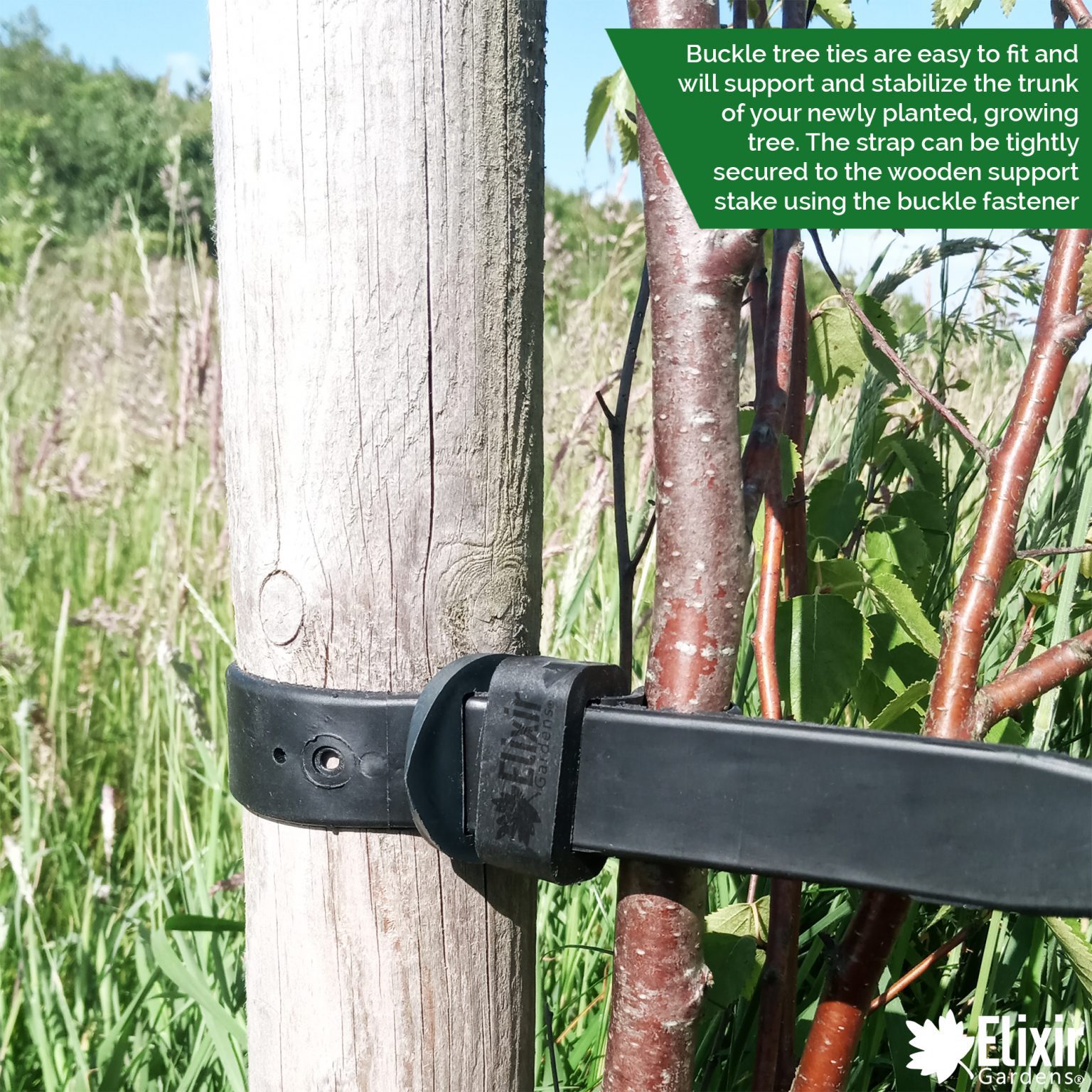 Flexible Rubber Tree Ties with Buckle | Elixir Garden Supplies