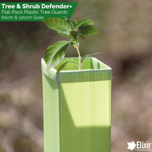 Tree & Shrub Defender+