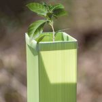 Tree & Shrub Defender+