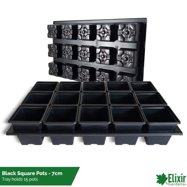 Square Pots & Carry Trays