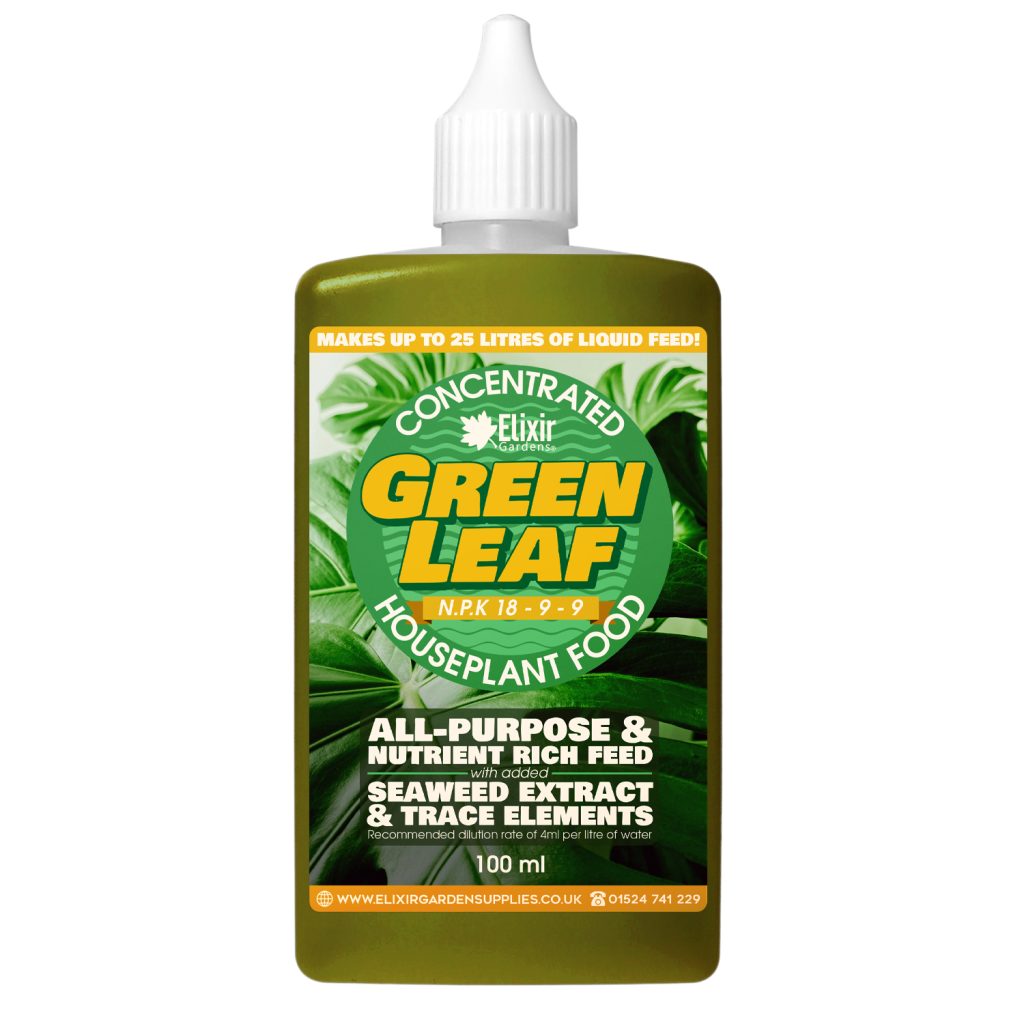 Green Leaf Liquid Houseplant Food