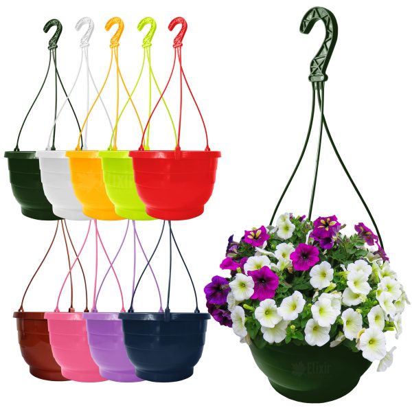 Colour Hanging Baskets