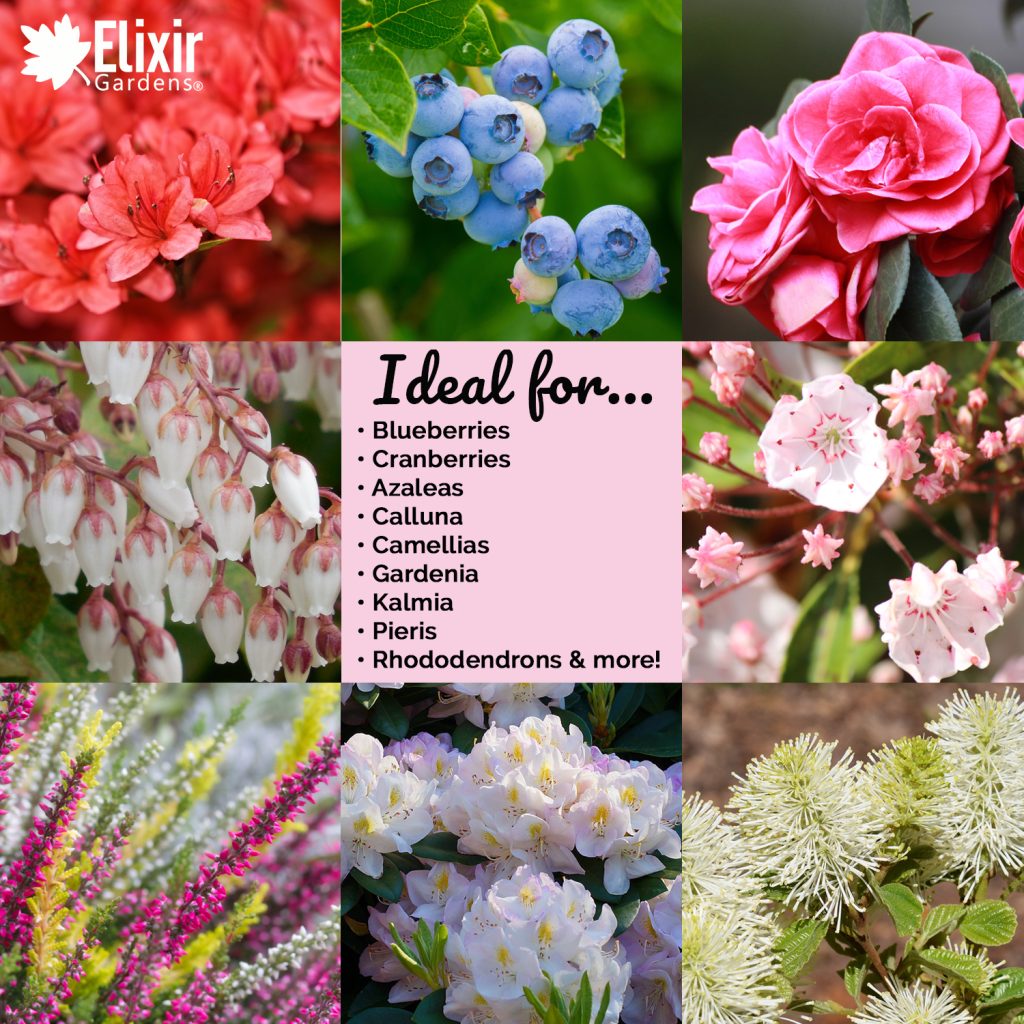 Ericaceous Compost Organic Elixir Gardens 5L 400L Available