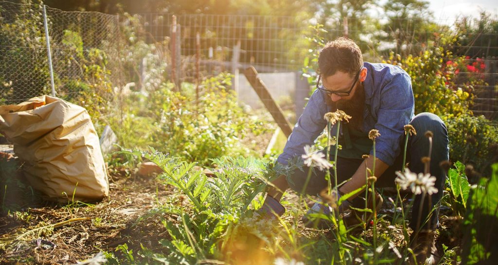 About Us Elixir Garden Supplies