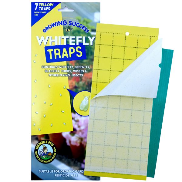 Whitefly Sticky Traps