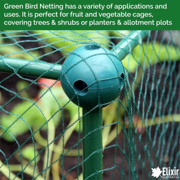 Idealforce 33ft Anti Bird Netting – Protective Garden Mesh For Plants, Fruits, Ponds