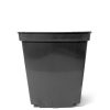 Square Plastic Plant Pots (0.75L-11L Sizes) - 1 Litre, 50