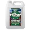 500ml Organic Hebridean Liquid Seaweed Fertiliser