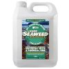 Liquid Seaweed Fertiliser with Iron Sulphate - 1 Litre