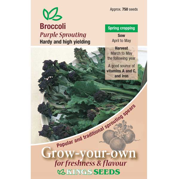 Party Supplies - Broccoli Purple Sprouting