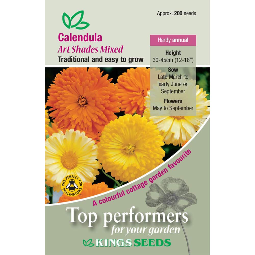 Party Supplies - Calendula Art Shades Mixed