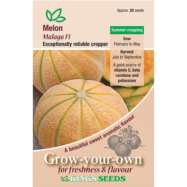 Party Supplies - Cantaloupe Melon Malaga F1