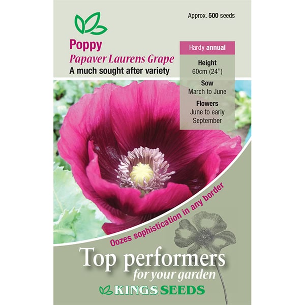 Party Supplies - Poppy Laurens Grape