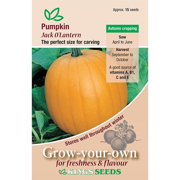 Party Supplies - Pumpkin Jack O'Lantern