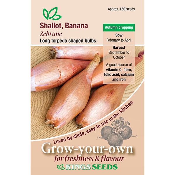 Party Supplies - Shallot Zebrune