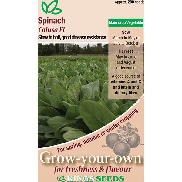 Party Supplies - Spinach Colusa F1