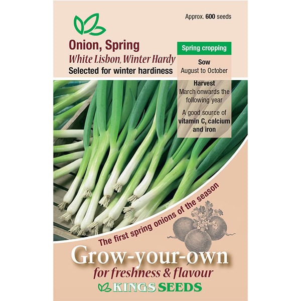 Party Supplies - Spring Onion Winter Hardy