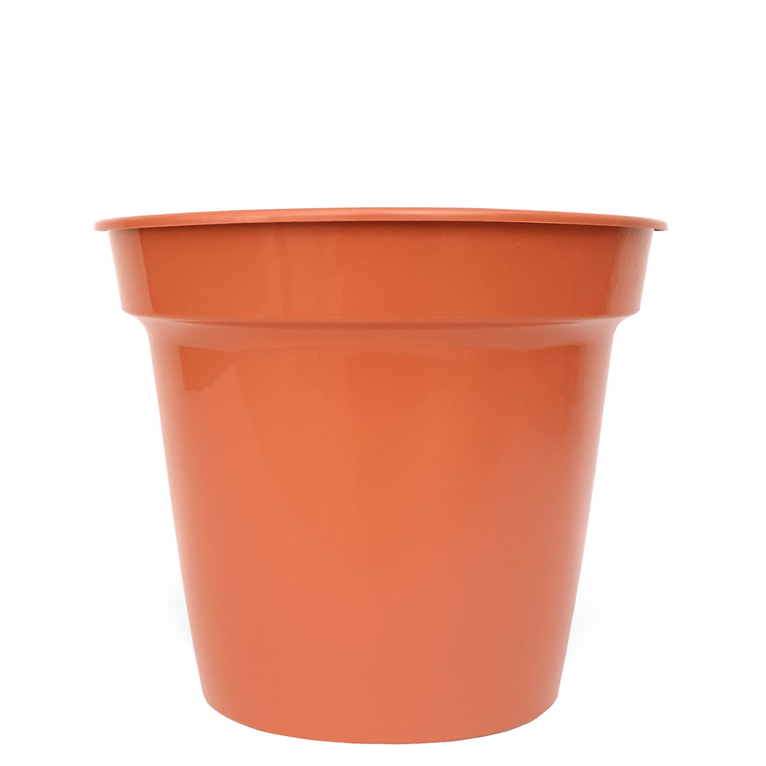 Party Supplies - 10 x 3