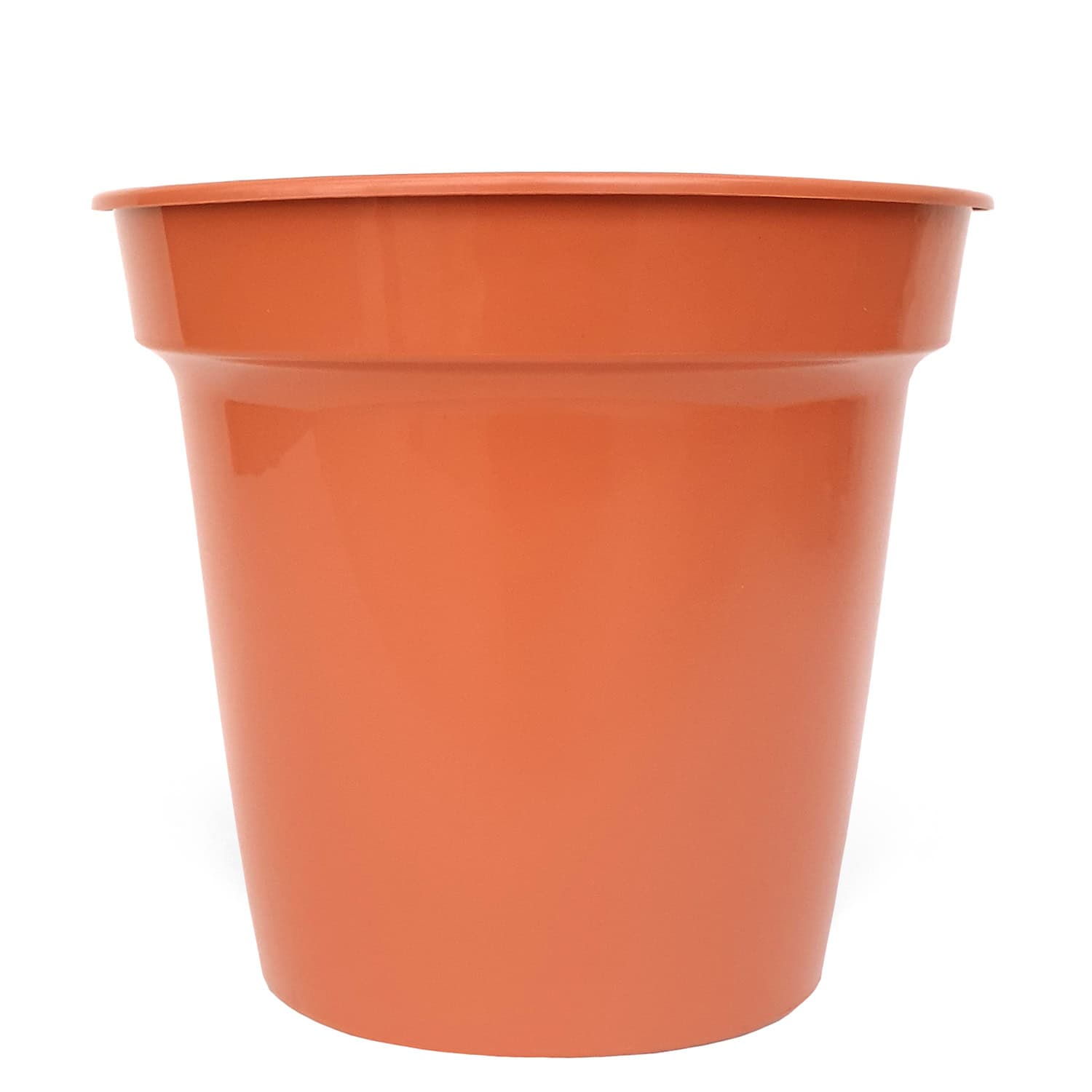 Party Supplies - 10 x 4
