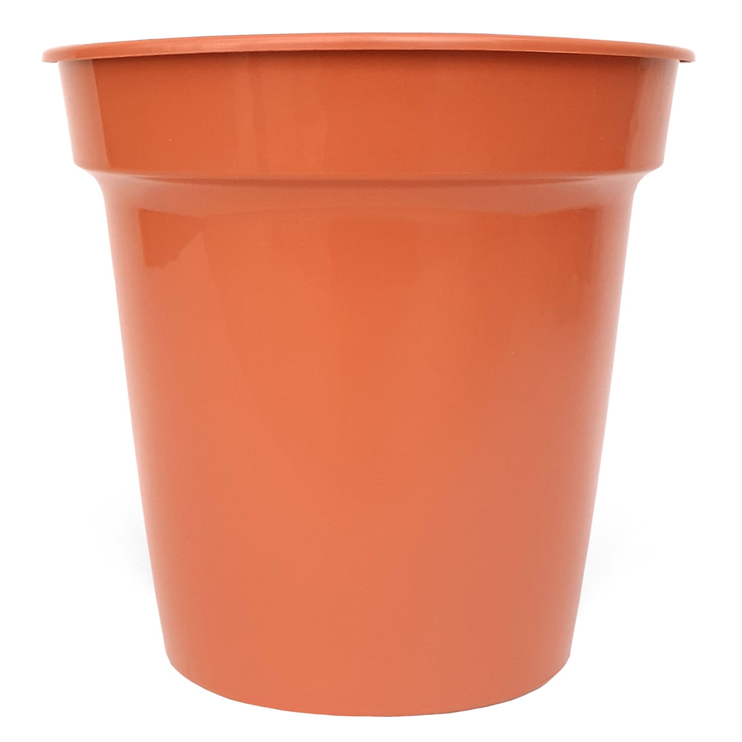 Party Supplies - 10 x 5