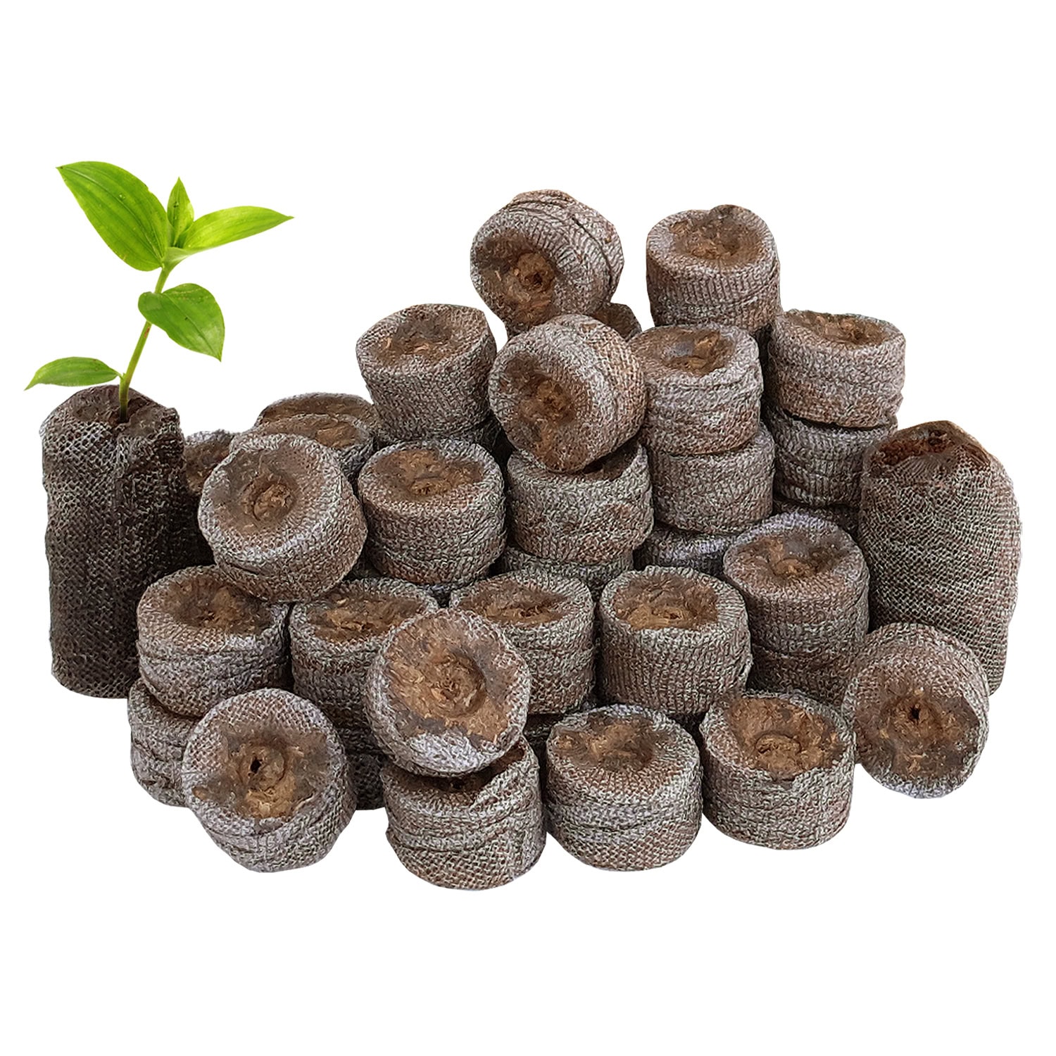 Party Supplies - Jiffy 18mm Peat Pellets x 100
