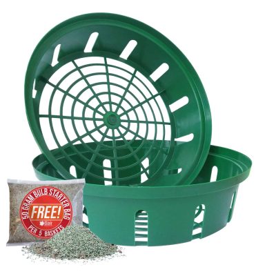 Green Bulb Planting Baskets