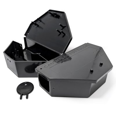 Mouse Box Main 2025