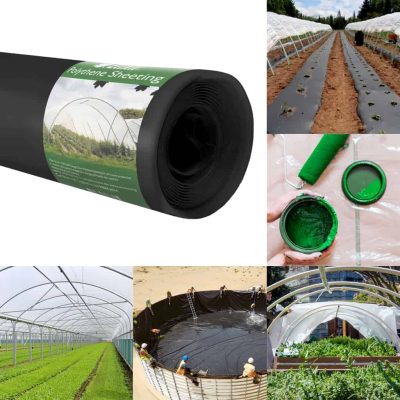 Poly-Main-Black