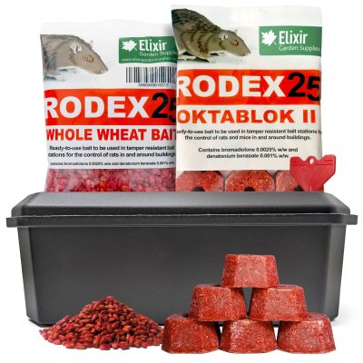 Rat Box Rodex Pre 2025 Main