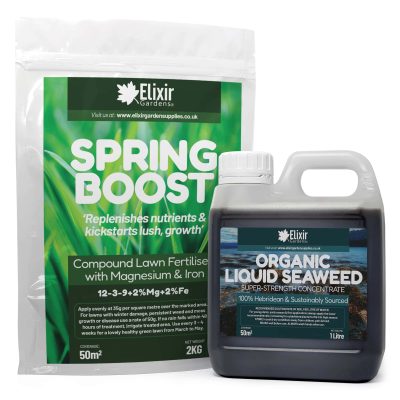 Spring Pack Main