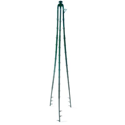 Tripod